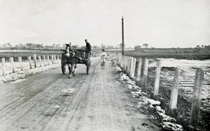 Image from Homeland Handy Guides - Mersea Island Page 11. Horse and cart crossing the Strood.